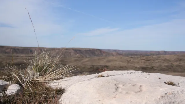 Turtle Petroglyph at Antelope Creek Village Site
