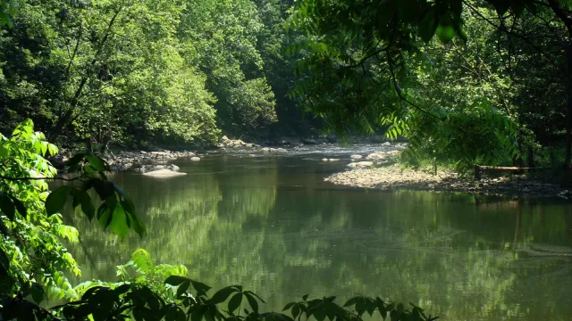 Bluestone River