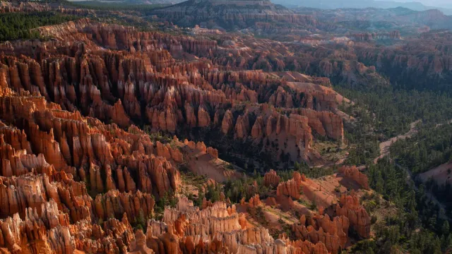 A red rock landscape and plateau forest glows with the morning sun