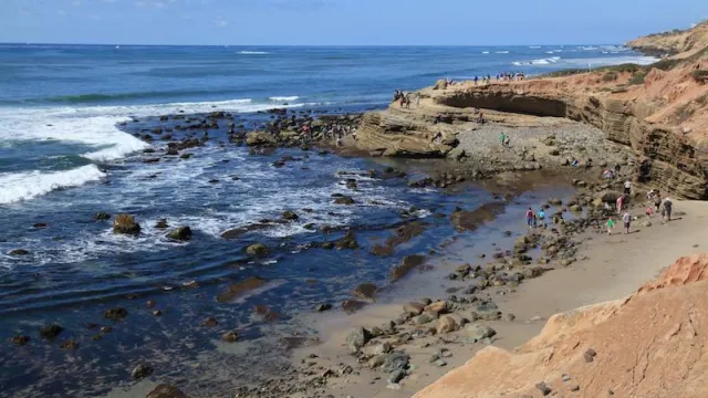 Tidepools at Cabrillo