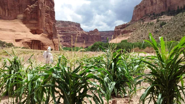 Farm in the canyon