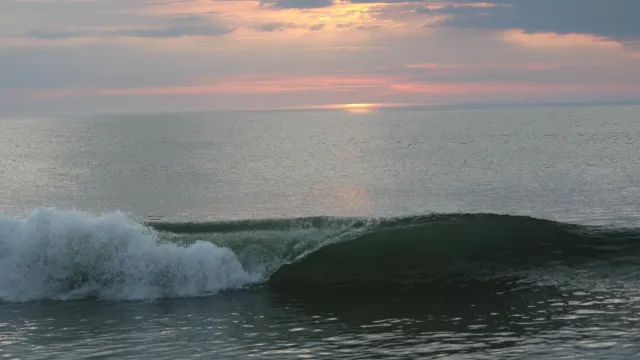 A curling wave breaks against the backdrop of a pink sunrise.