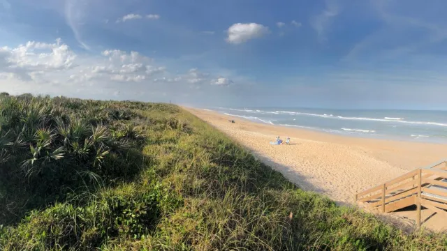 Dune plants, beach, and ocean.
