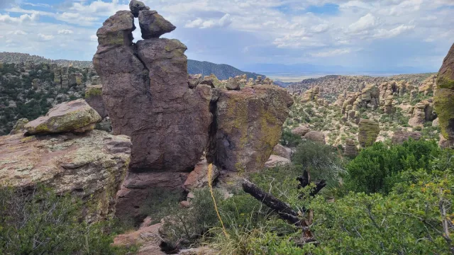 Many rock pinnacles with a valley and mountain range in background