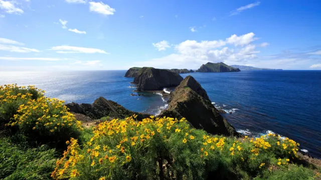 Steep, rugged ocean cliffs extending in an island chain.