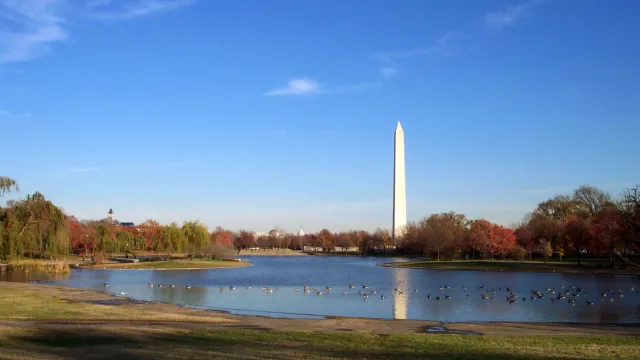 Shot of the Garden Pond with the Washington Monument in the background