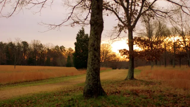 The sun is coming up on the battlefield in the direction that the Americans would have been facing.