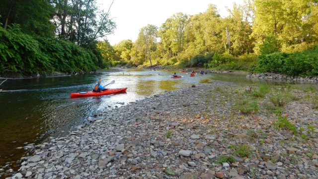 People in bright orange kayaks paddle around a bend in a river, past green trees and a rocky shore.