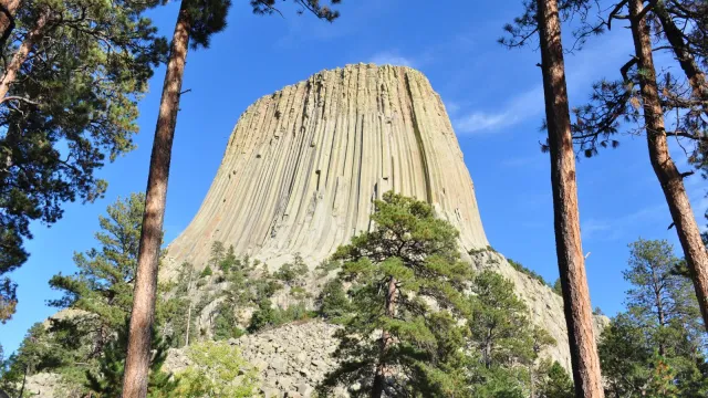 Devils Tower looming above the trees