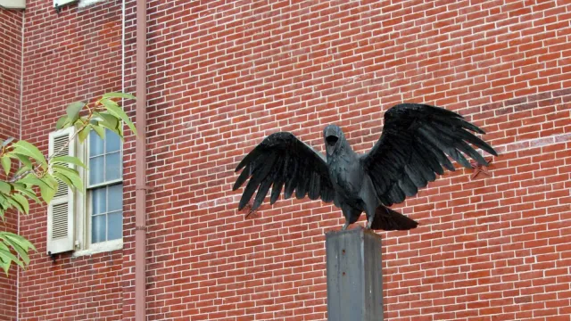 Color photo showing a large raven statue with wings outspread on a metal plinth.