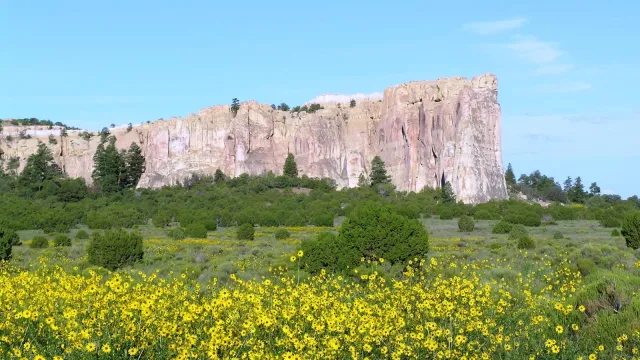 El Morro with Sunflowers