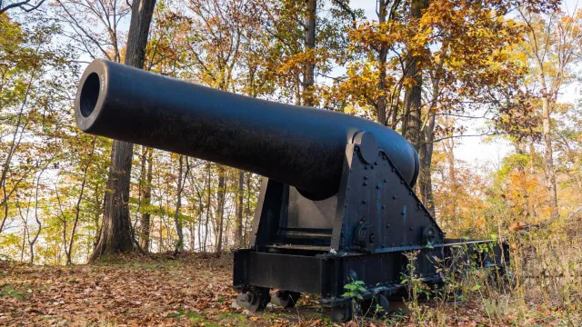 A cannon in front of fall leaves