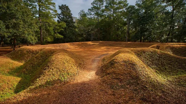 An earthworks covered in reddish-green grass about 4 feet high in a star pattern