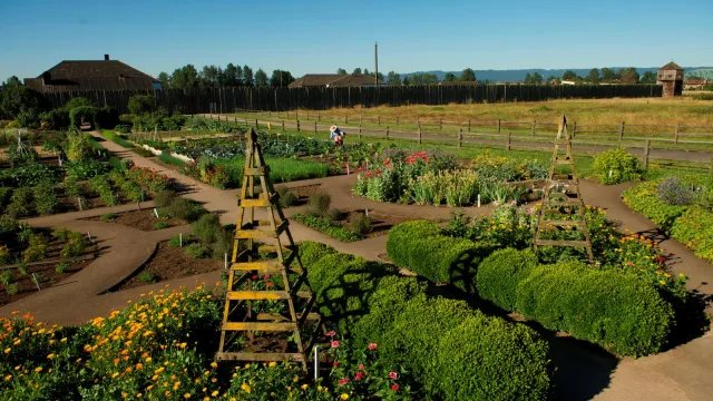 Fort Vancouver Garden