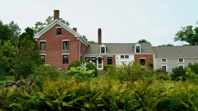 A two-story red brick home stands just beyond a row of green ferns.