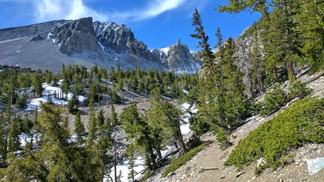 blue sky with green trees in mountain cirque
