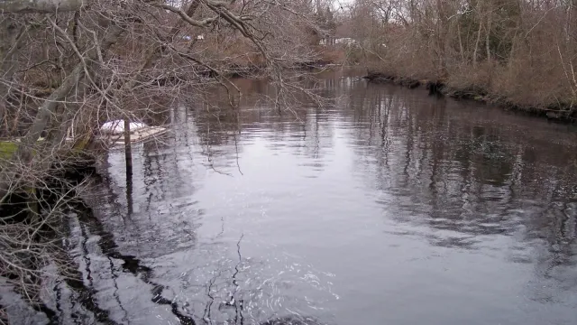 Still river in the winter with leafless trees on either side