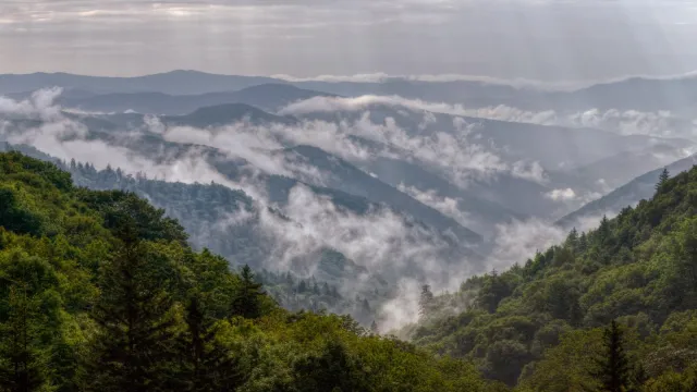 Wisps of fog hang over the forests in the mountains.