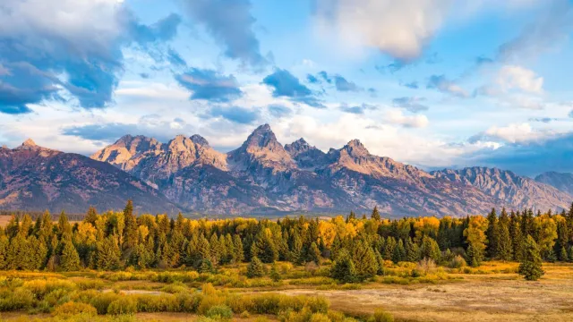 Granite mountains with a cloudy blue sky and green and yellow trees and plants in the foreground