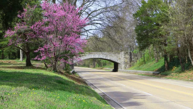 Stone Bridge Along the George Washington Memorial Parkway