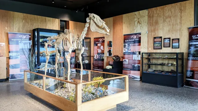 A fossil horse stands in the center of a room filled with posters and display cases