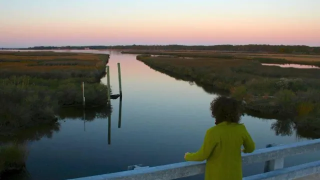 Girl stands on a bridge overlooking the marshlands.