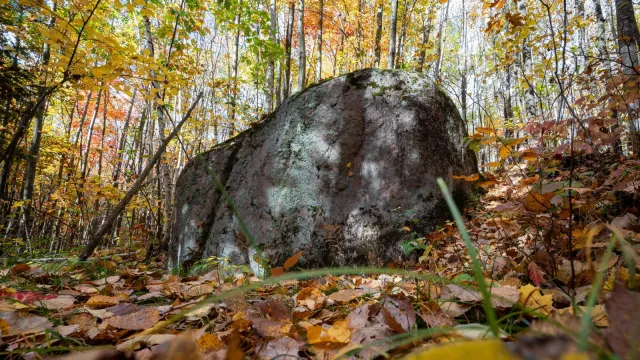 Photograph of a large glacial erratic boulder in autumn with trees covered in colorful foliage and f