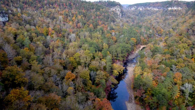 Fall Season in the Canyon