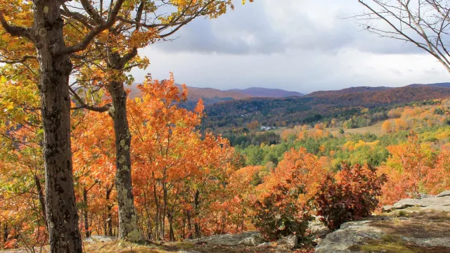 scenic overlook with town below surrounded by fall foliage