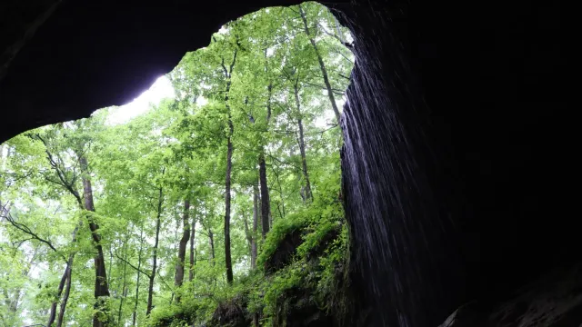 Looking out from a large cave entrance with falling water and green trees shown over the entrance.