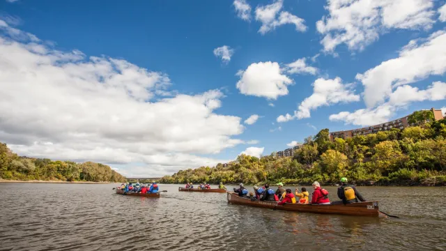 Large canoes and crews paddle down the river amidst autumnal color.