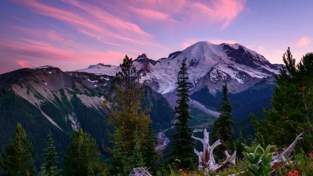 A purple and pink streaked sky over a mountain peak and forested valley.