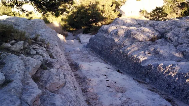 A wagon swale is cut deep into limestone rock with trees in background.