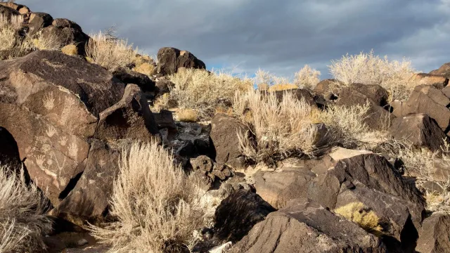 Petroglyphs on dark boulders with a cloudy sky.