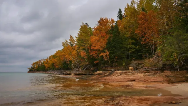 Golden and orange trees line a sandstone cliff rising above a beach on a cloudy autumn day