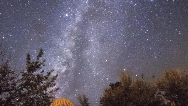 A glittering sky of stars glows above a historic covered wagon.
