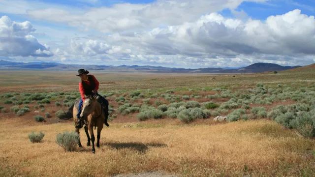 A rider in a red vest on a horse in a grassy patch surrounded by sagebrush with clouds in the sky.