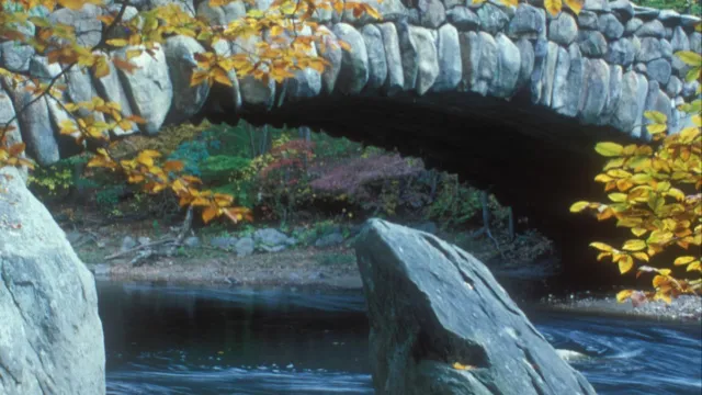 Stone bridge and fall leaves