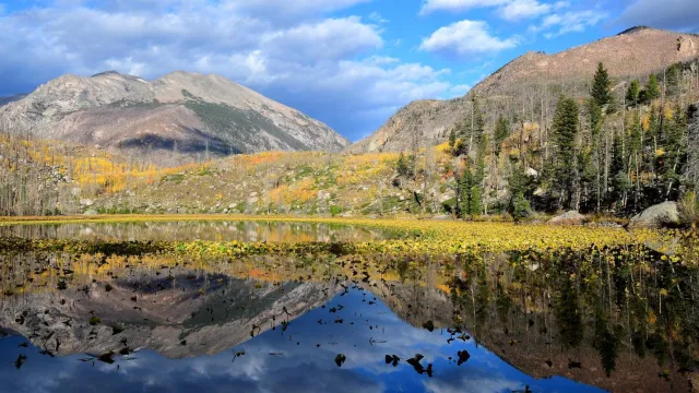 Cub Lake with reflections. Yellow and brown grasses line the edge of the lake.