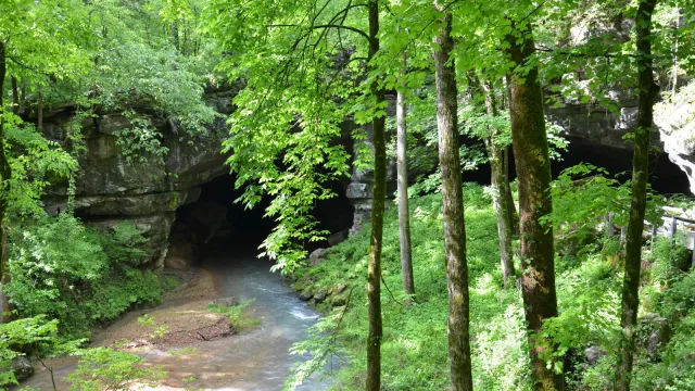 Russell Cave in Spring
