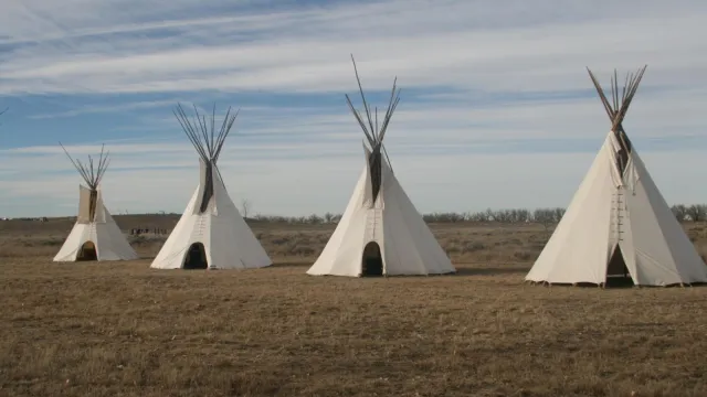 Four white Indian lodges on a grassy plain.