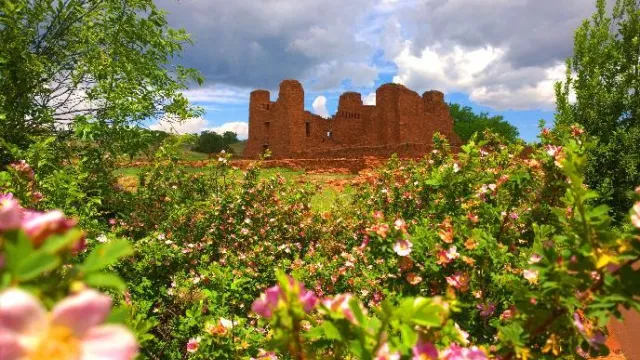 Pink flowers and green foliage frame the roofless remains of a stone mission.