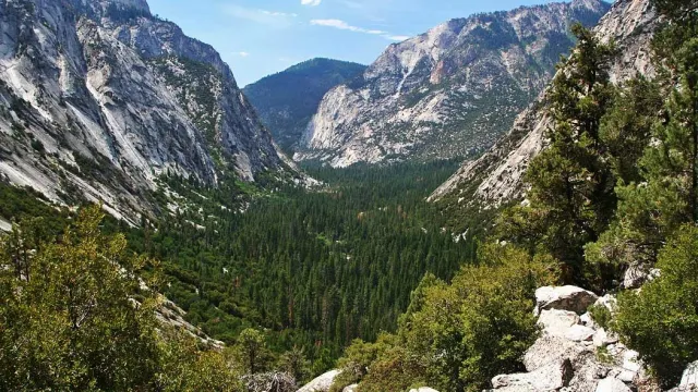 A deep canyon with a forested floor and steep granite cliffs
