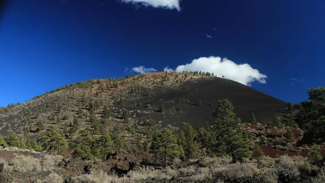 a cinder cone volcano and ponderosa pine trees