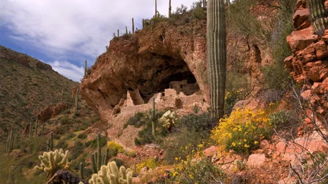 cliff dwelling in the spring with desert plants and wildflowers.