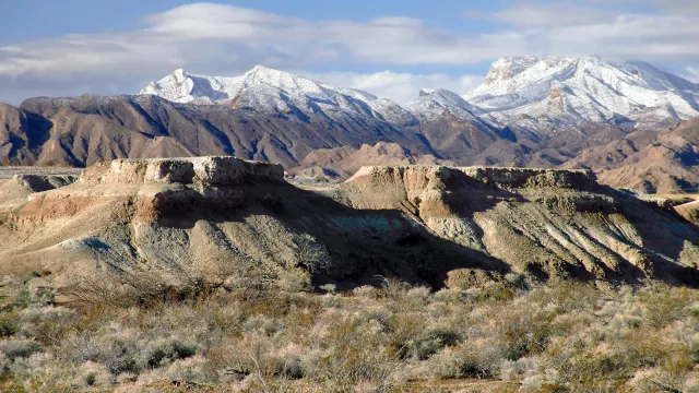 Tule Springs during winter