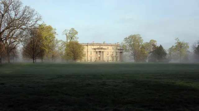 Misty April Morning