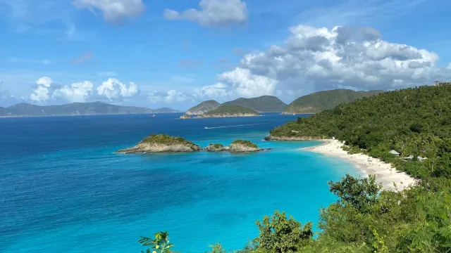 Turquoise water laps white sandy shore fringed with lush green vegetation.
