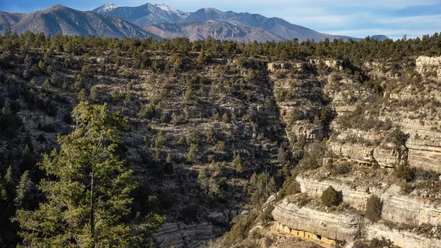 Walnut Canyon's cliff dwellings are illuminated by the afternoon sun.