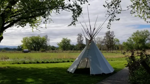 A tipi sits beneath a tree near a walking trail